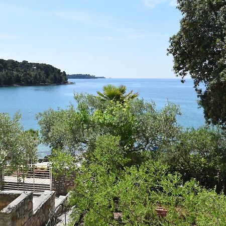Buric House - Apartments Klasik And Studio Mini Rovinj Luaran gambar