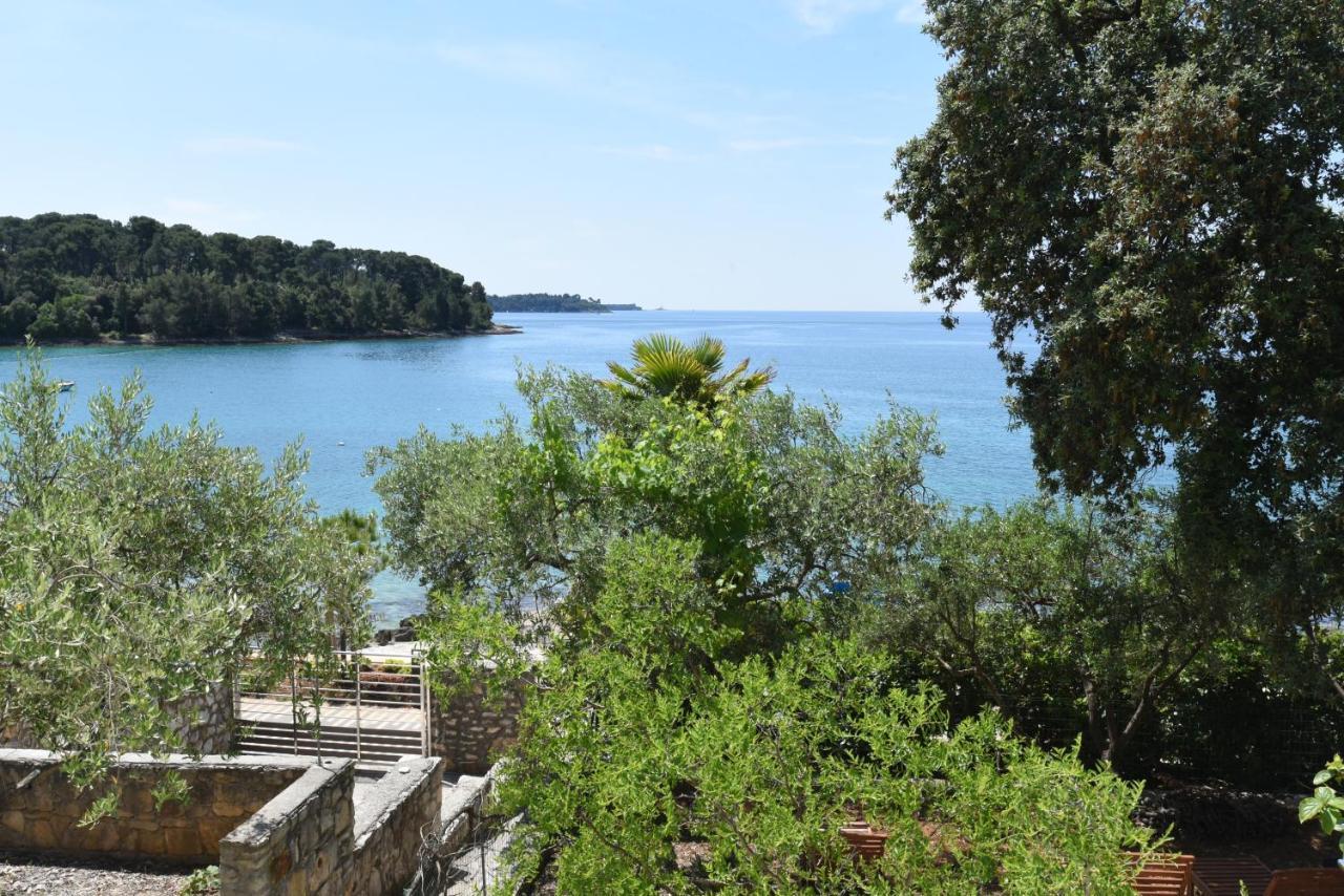Buric House - Apartments Klasik And Studio Mini Rovinj Luaran gambar